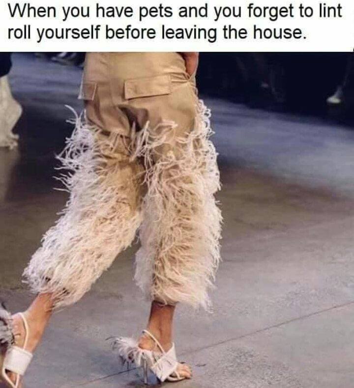 pets.jpg