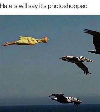 photoshopped.jpg