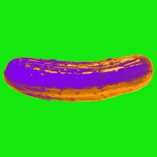 Pickle Small.jpeg