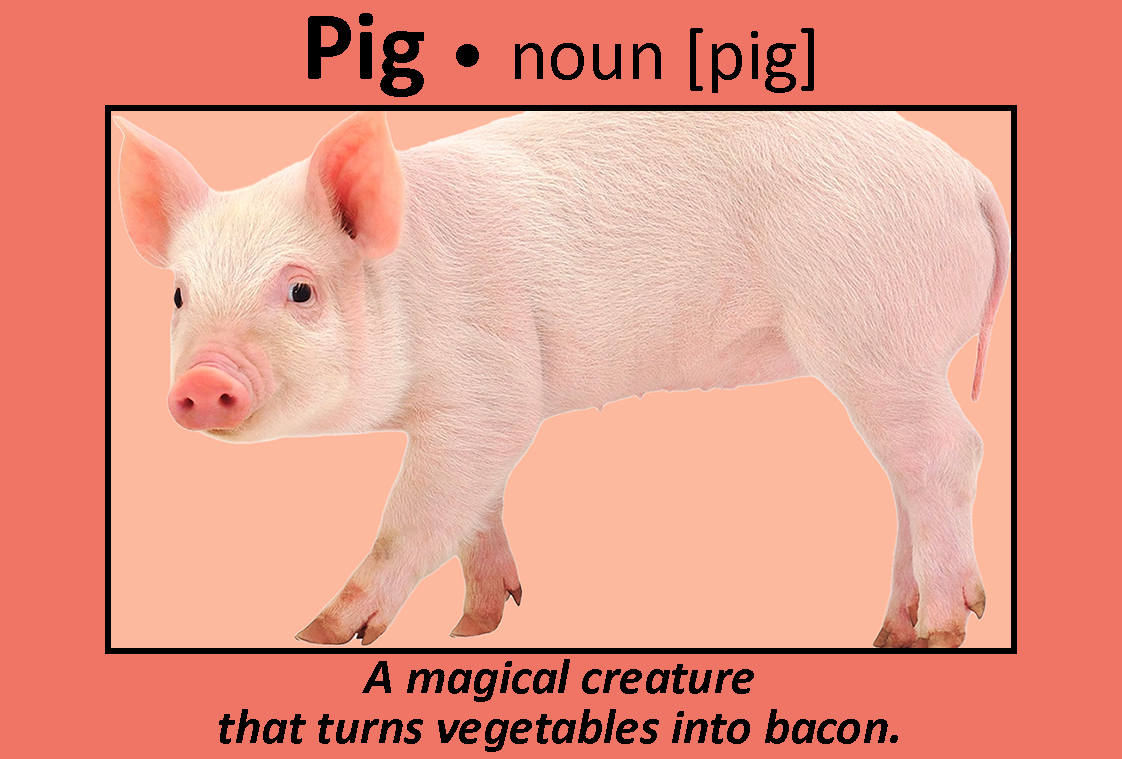 Pig.jpg