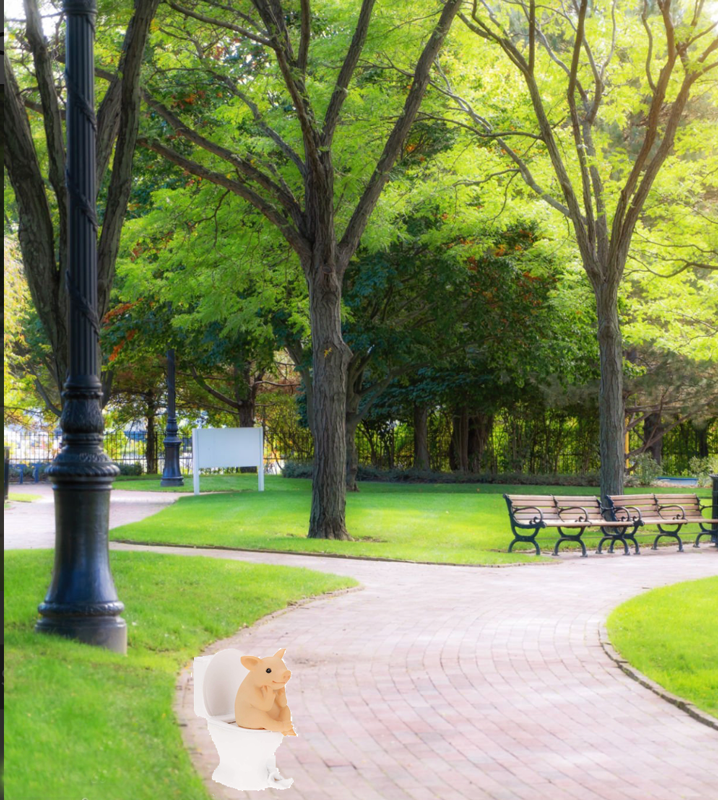 pig_in_park2.png