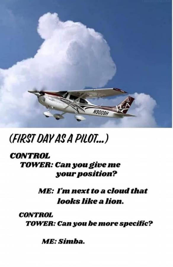 pilot.jpg