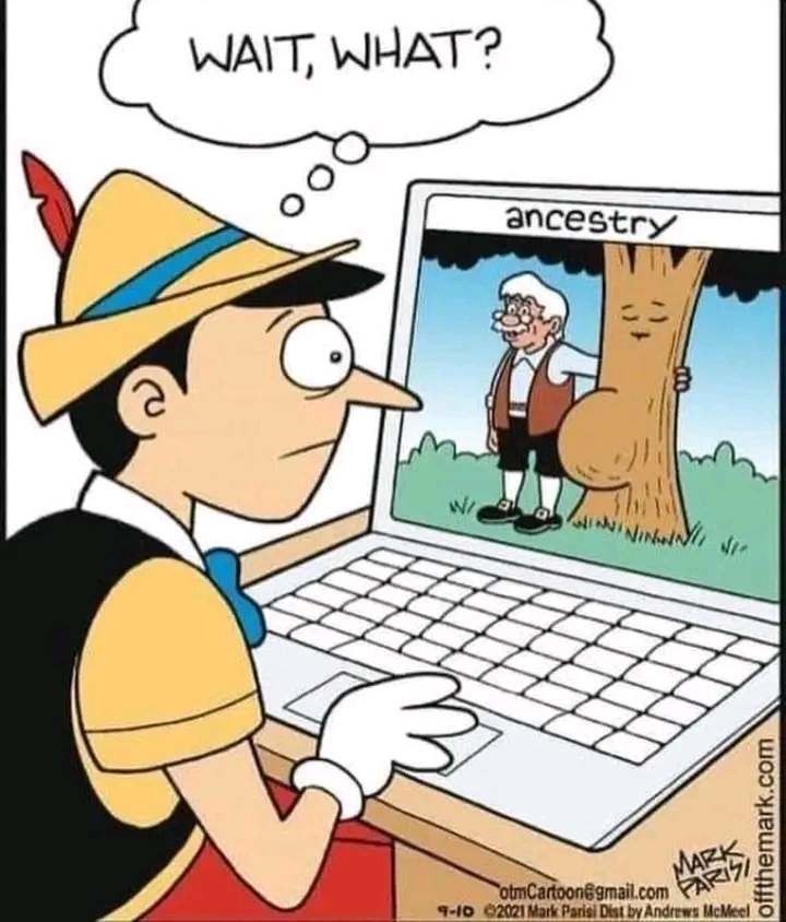 pinocchio meme.jpg