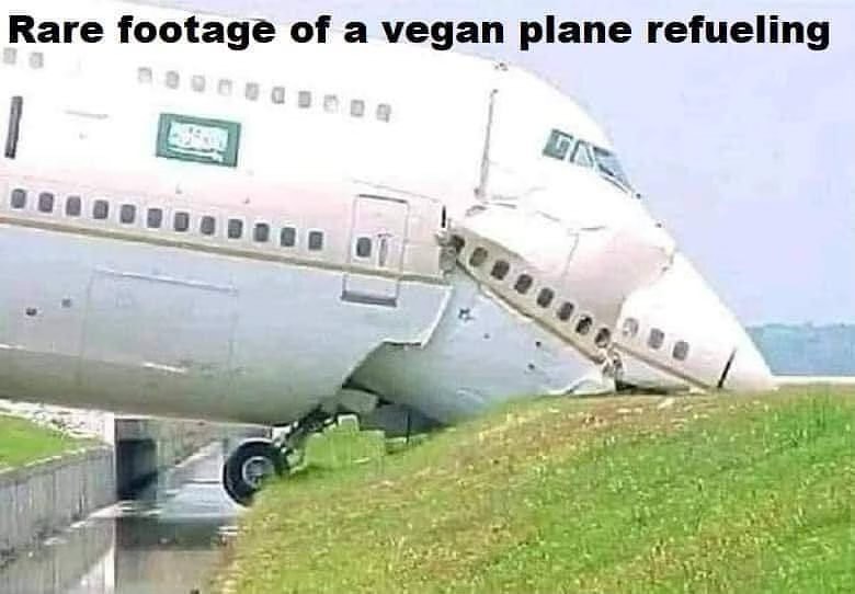 plane.jpg