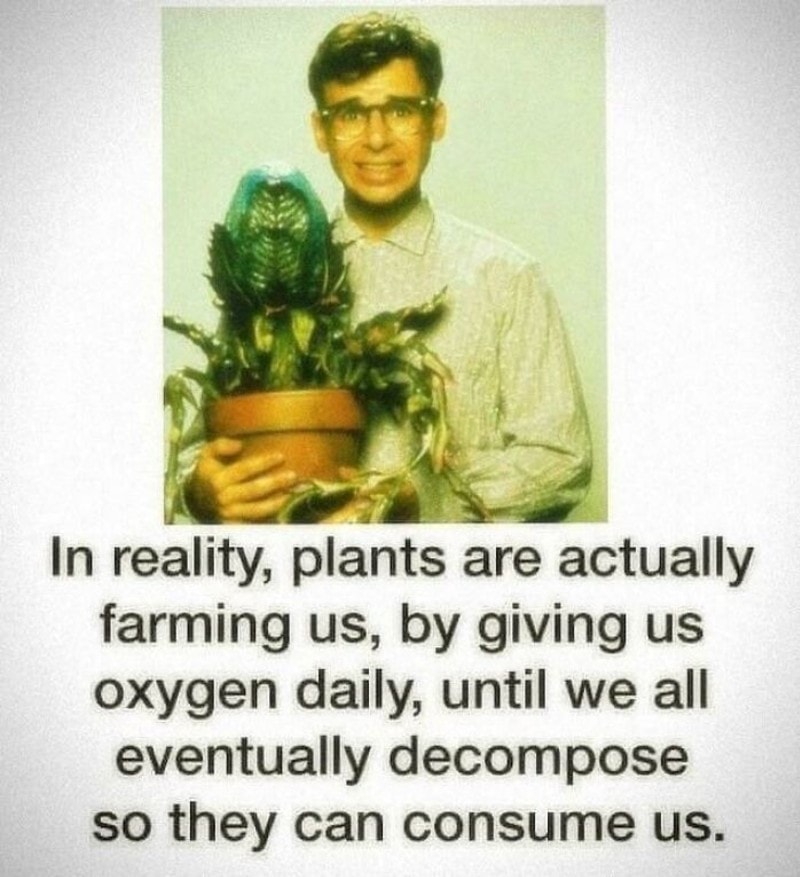 plants.jpeg