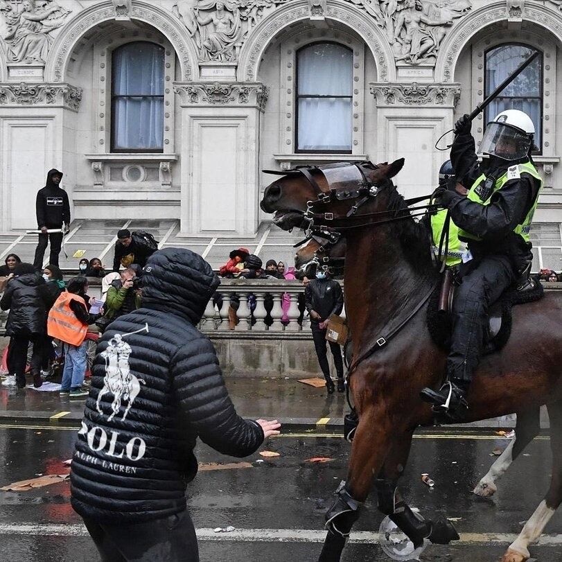 polo.jpg