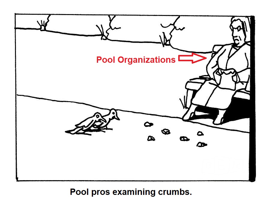 Pool players crumbs.jpg