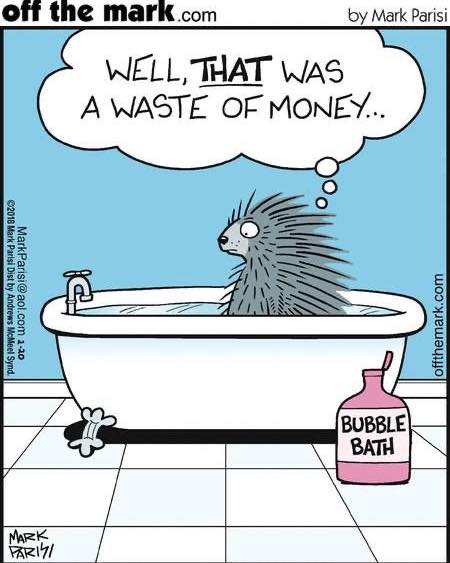porcupine bubblebath.jpg