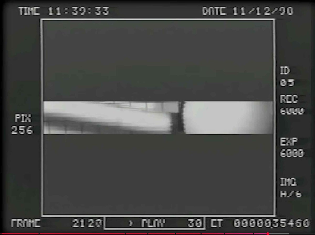 Predator 3546.jpg