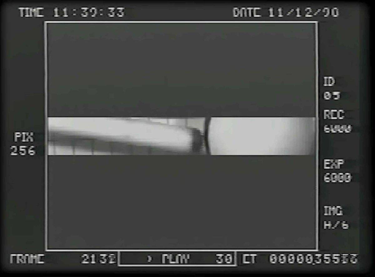 Predator 3553.jpg