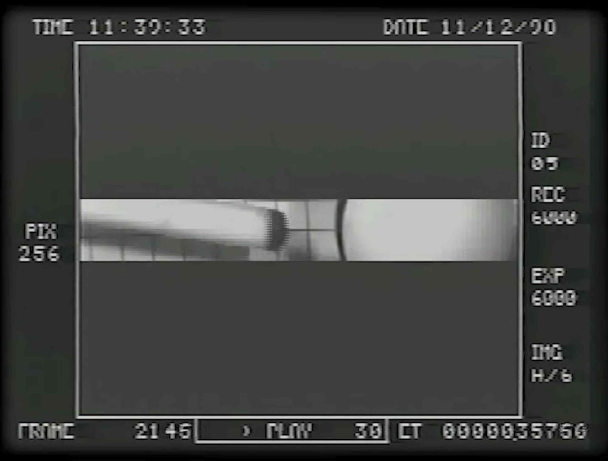 Predator 3576.jpg