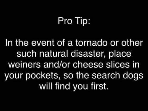 pro tip.jpg