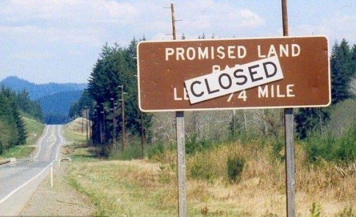 promised land.jpg