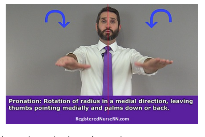 pronation.png