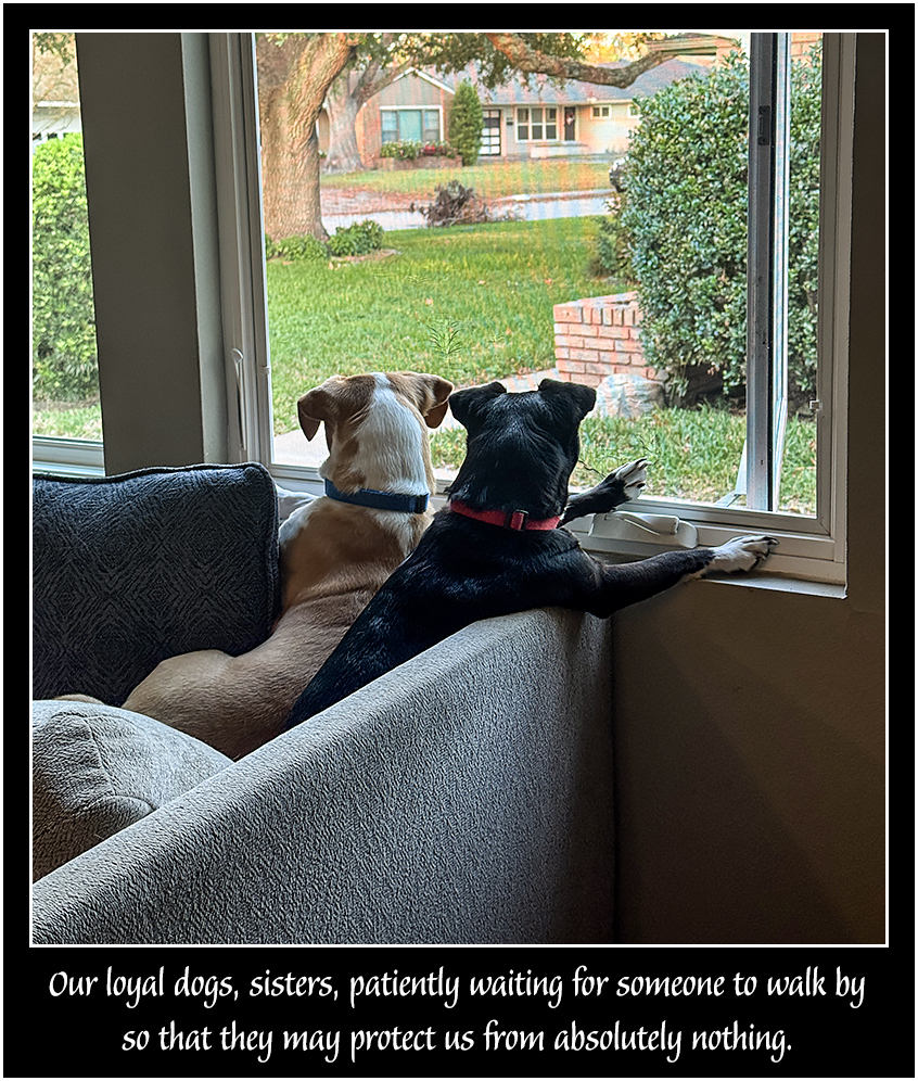 Protecting the House.jpeg