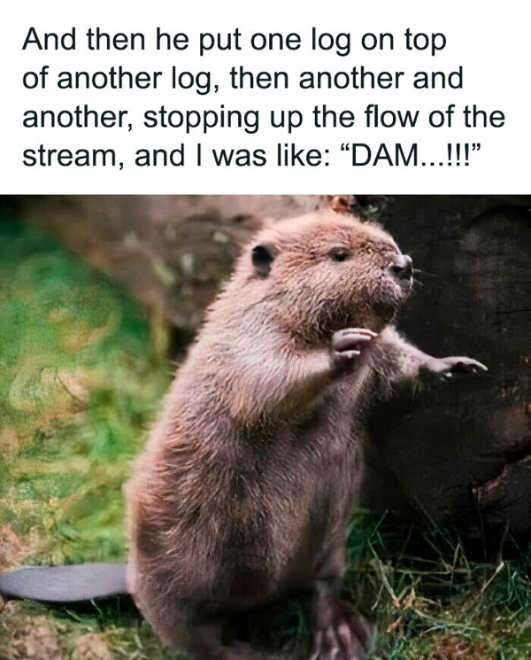 puns-32.jpg
