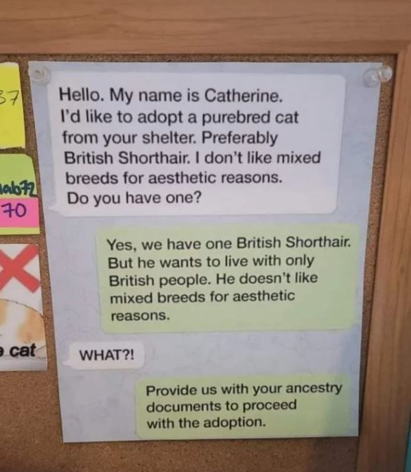 purebreed.jpg