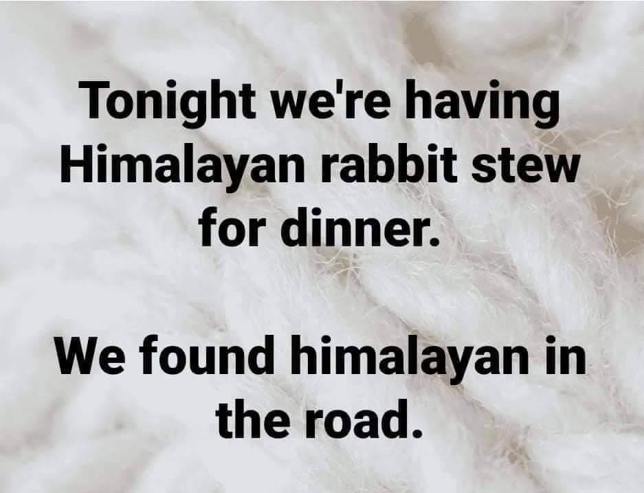 rabbit stew.jpg