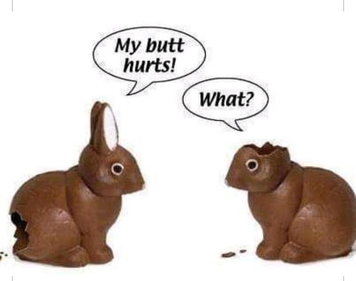 rabbits.jpg