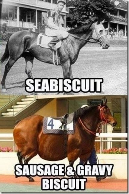 race horse.jpg