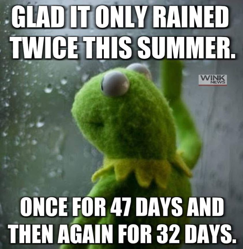 rain.jpg
