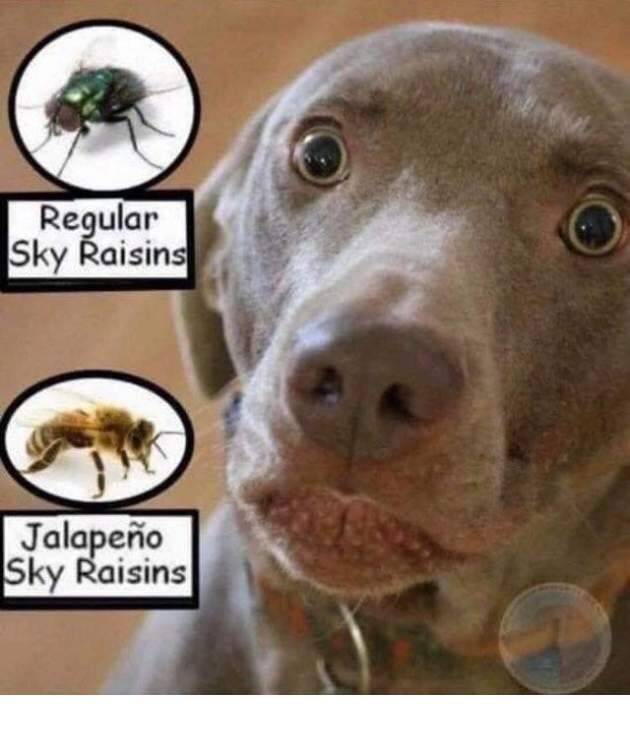 raisins.jpg