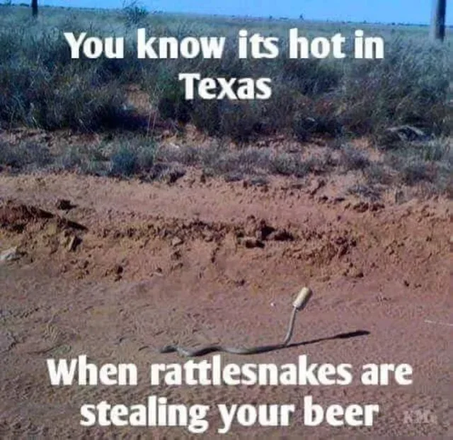 rattlesnakes 2.png