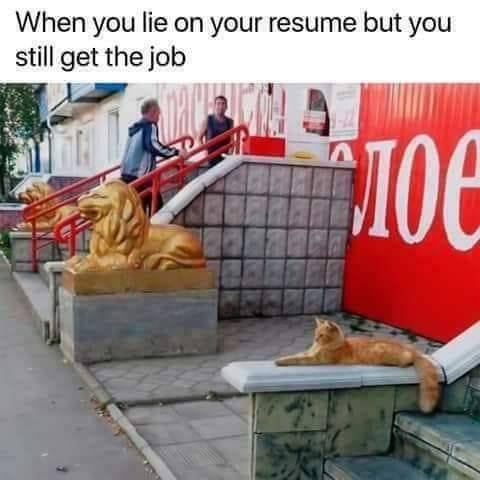 resume.jpg