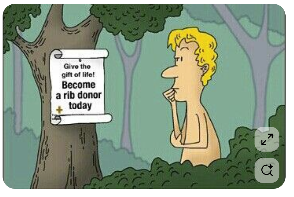 rib donor.png