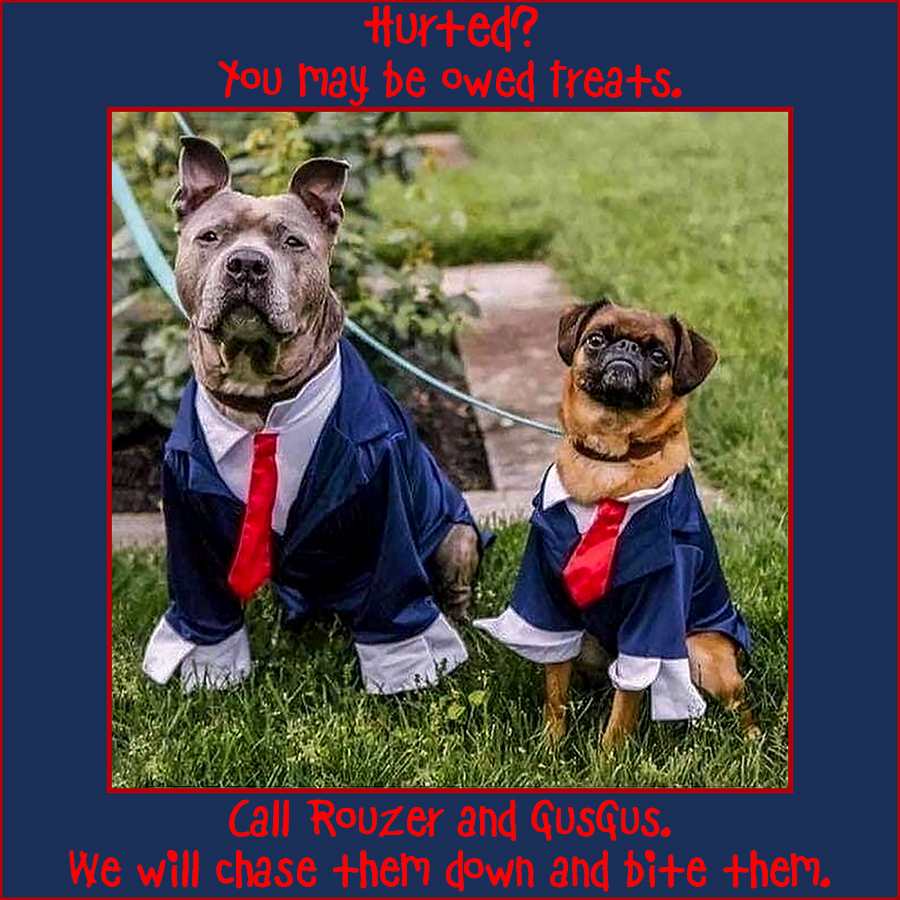 Rouzer and GusGus.jpg