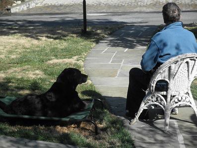 Sammy and Keith in front yard resting.jpg