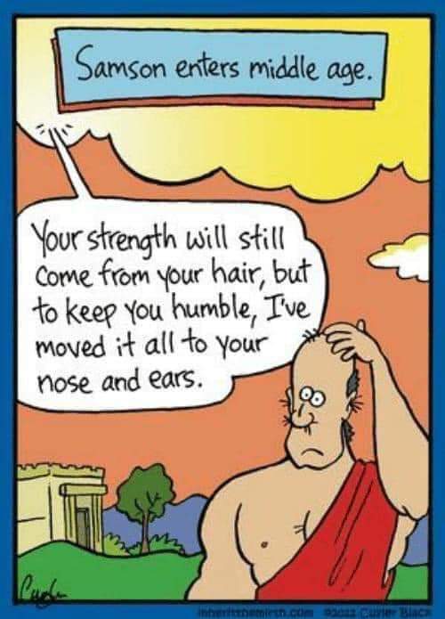 samson.jpg