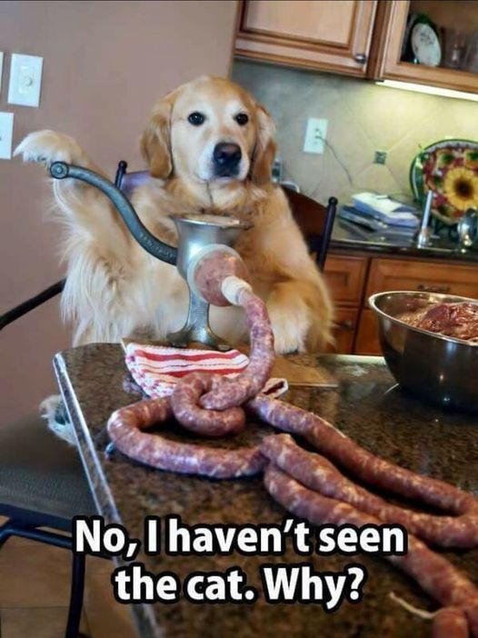 sausage.png