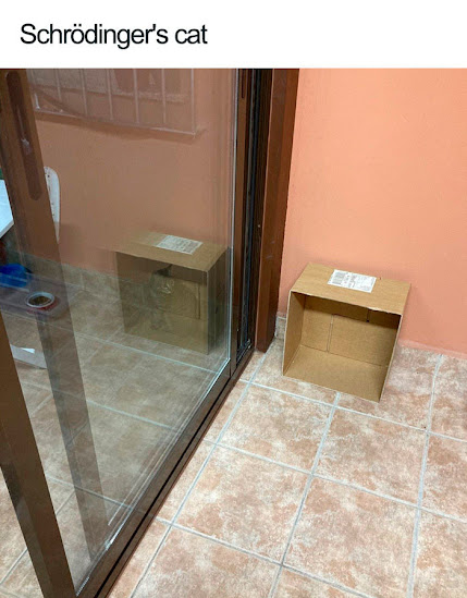 schroedinger's cat.jpg