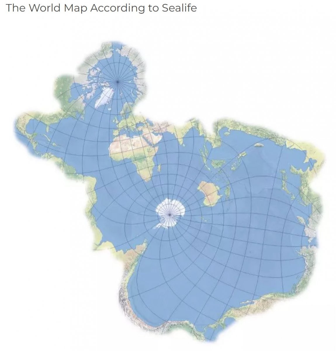 Screenshot 2022-03-26 182852.jpg