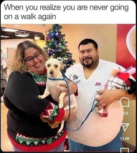 Screenshot 2025-12-30 153542.png