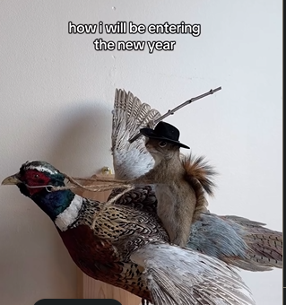 Screenshot 2026-01-01 174435.png