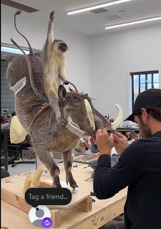 Screenshot 2026-01-01 225645.png