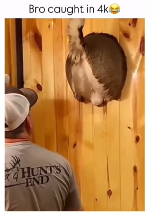 Screenshot 2026-01-02 232031.png