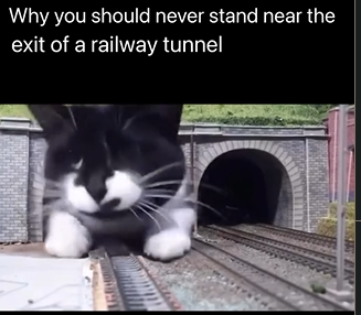 Screenshot 2026-01-03 142850.png