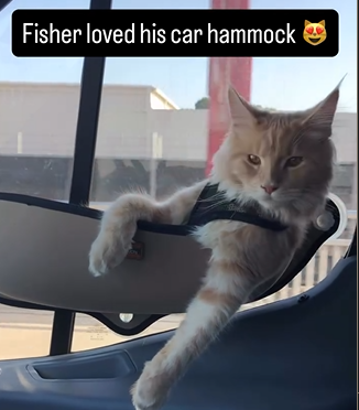 Screenshot 2026-01-03 142912.png