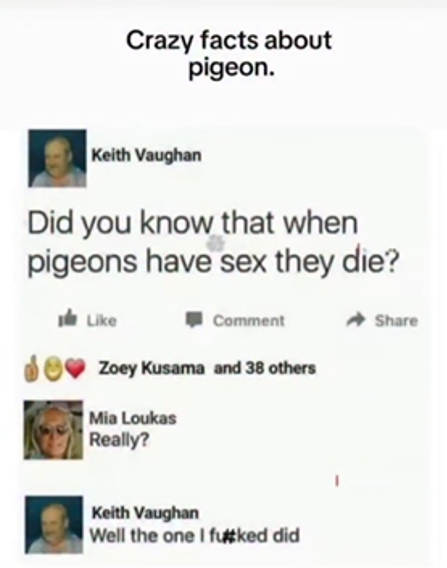 Screenshot 2026-01-05 174607.png