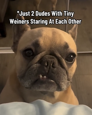 Screenshot 2026-01-06 225720.png