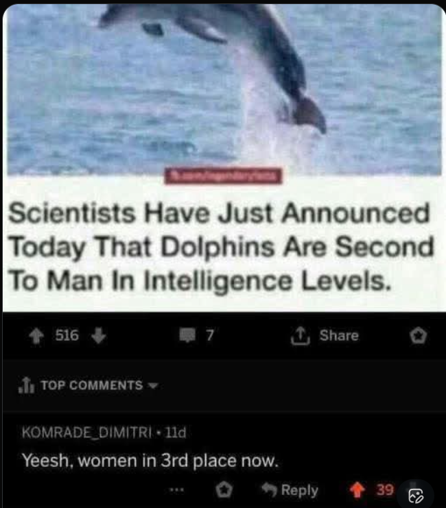 Screenshot 2026-03-17 000828.png