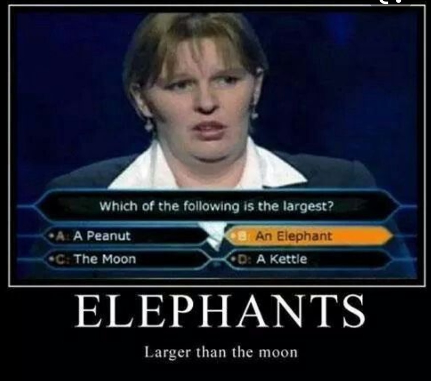 Screenshot_20220125-181442.jpg