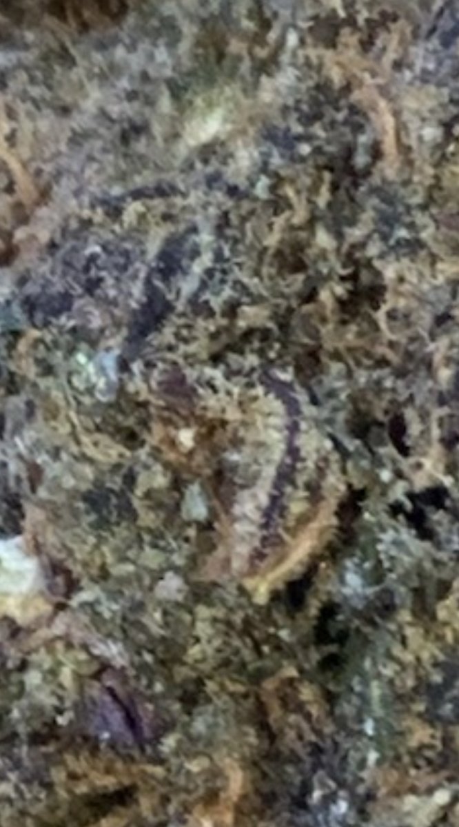 Screenshot_20241023-140032.jpg