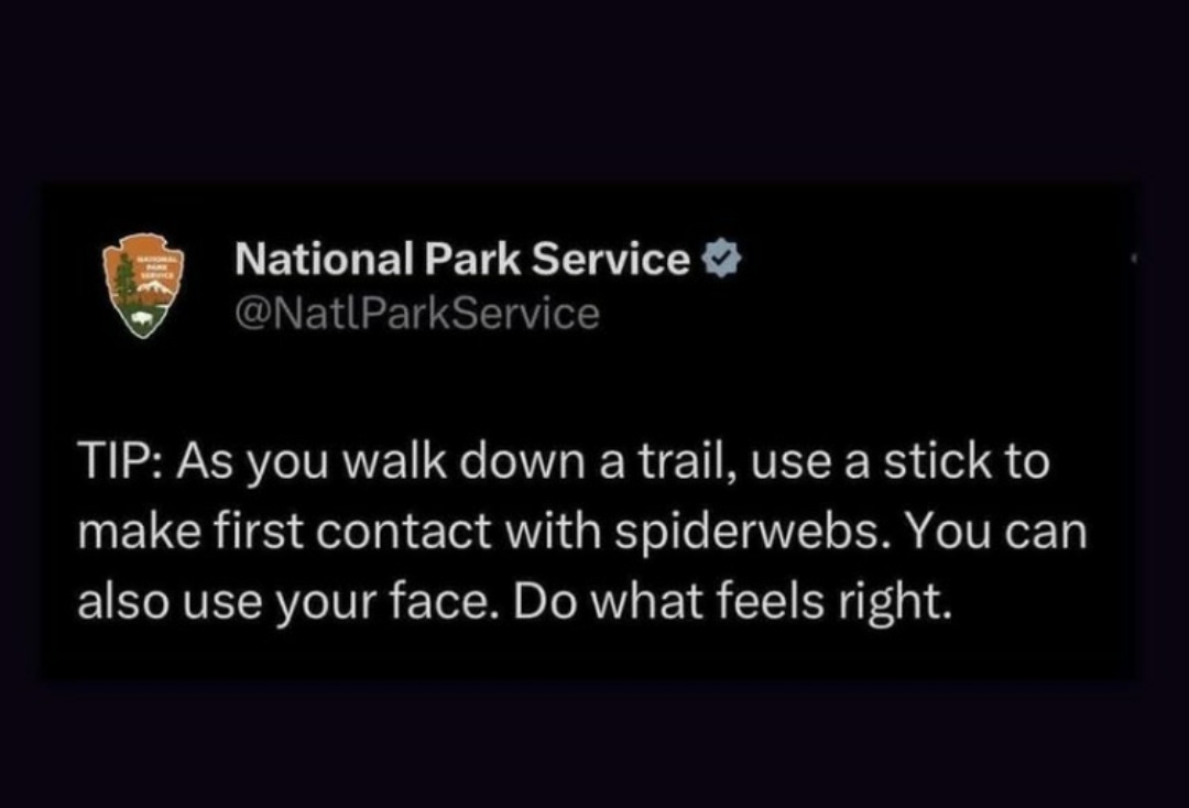 Screenshot_20241229-141543.jpg