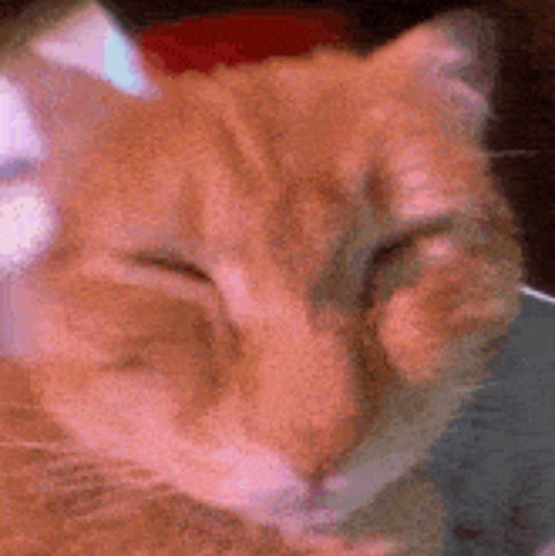 Screenshot_20250804-162453.jpg