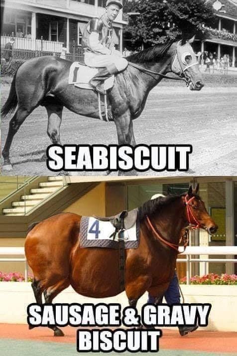 seabiscuit.JPG