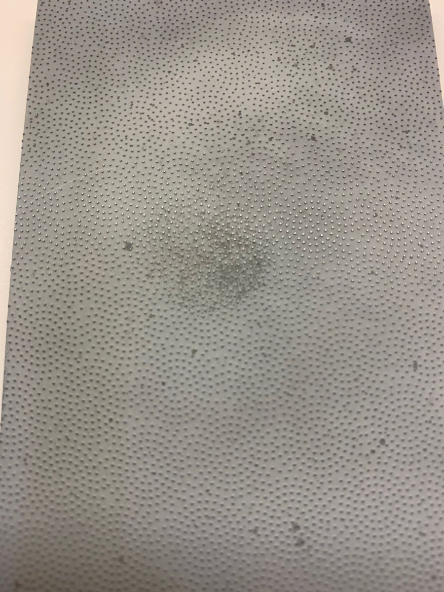shark skin 2.jpg